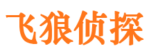 望城市私家侦探